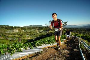 BIB: 
                            <button type="button" onclick="openModal(19118341)" class="btn btn-primary btn-sm float-right btn-popup" data-toggle="modal" data-target=".modal-high-quality">
                        <i class="fas fa-shopping-cart"></i> Add to Cart
                    </button>
                                            <button type="button" onclick="isThisMe(19118341, true)" class="btn btn-success btn-sm float-right btn-popup btn-isme hidden" data-toggle="tooltip" data-placement="bottom" title="นี่คือรูปของคุณใช่ไหม คลิกที่นี่เพื่อเอาเข้าอัลบั้ม">
                        <i class="fas fa-plus"></i> Add to album
                    </button>
                    <button type="button" onclick="isThisMe(19118341, false)" class="btn btn-warning btn-sm float-right btn-popup btn-isnotme hidden">
                        <i class="fas fa-ban"></i> Remove from album
                    </button>